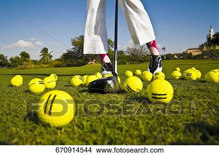 Low section view of a woman playing golf, Biltmore Golf Course, Coral Gables, Florida, USA View Large Photo Image Picture - Low section view of a woman playing golf, Biltmore Golf Course, Coral Gables, Florida, USA. Fotosearch