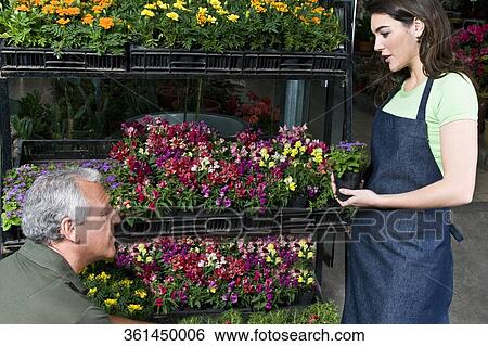 Man and a woman working in a greenhouse View Large Photo Image Stock Photograph - Man and a woman working in a greenhouse. Fotosearch