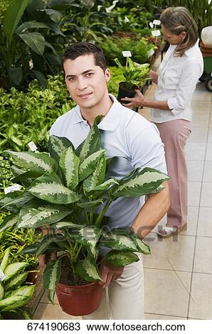 Man holding a potted plant in a greenhouse View Large Photo Image Stock Image - Man holding a potted plant in a greenhouse. Fotosearch