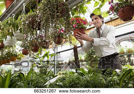Stock Photo - Man holding a potted plant in a greenhouse. Fotosearch