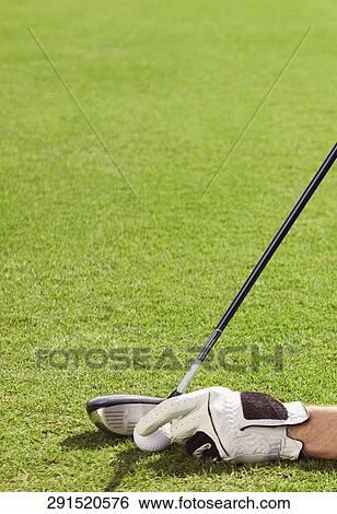 Man playing golf in a golf course, Biltmore Golf Course, Coral Gables, Florida, USA View Large Photo Image Stock Photograph - Man playing golf in a golf course, Biltmore Golf Course, Coral Gables, Florida, USA. Fotosearch