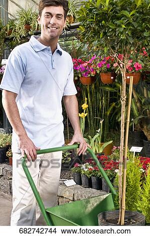 Man pushing a wheelbarrow in a greenhouse View Large Photo Image Picture - Man pushing a wheelbarrow in a greenhouse. Fotosearch