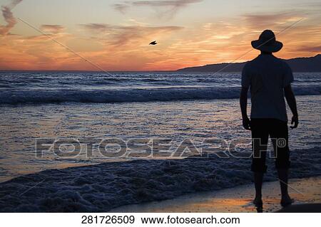 Man standing on the beach, Santa Monica, Los Angeles County, California, USA View Large Photo Image Stock Photo - Man standing on the beach, Santa Monica, Los Angeles County, California, USA. Fotosearch