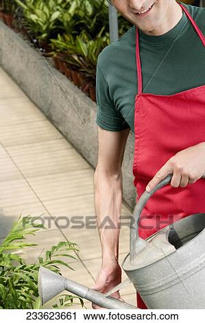 Man watering plants View Large Photo Image Stock Image - Man watering plants. Fotosearch