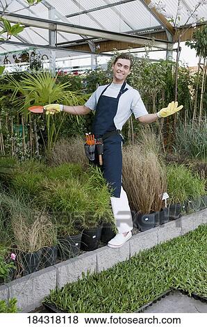 Stock Photo - Man working in a greenhouse. Fotosearch