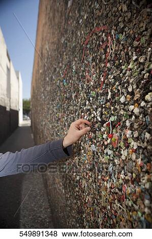 Man's hand sticking bubble gum on a wall, Bubble Gum Alley, San Luis Obispo, California, USA View Large Photo Image Stock Photo - Man's hand sticking bubble gum on a wall, Bubble Gum Alley, San Luis Obispo, California, USA. Fotosearch