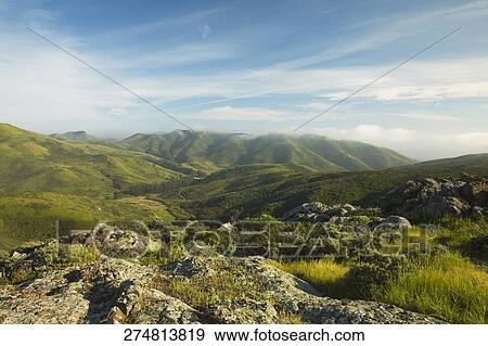 Panoramic view of a landscape View Large Photo Image Stock Photo - Panoramic view of a landscape. Fotosearch