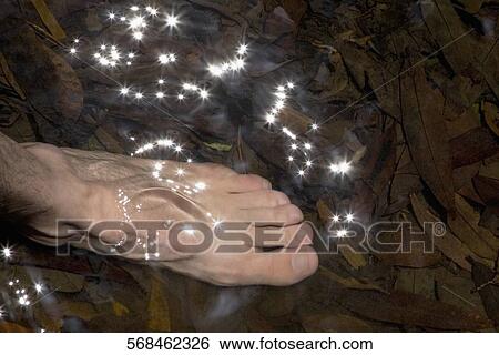 Stock Photograph - Person's feet in a puddle. Fotosearch