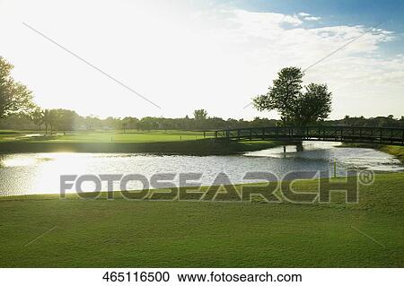 Stock Image - Pond in a golf course, Biltmore Golf Course, Coral Gables, Florida, USA. Fotosearch