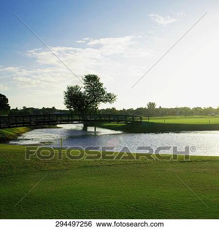 Pond in a golf course, Biltmore Golf Course, Coral Gables, Florida, USA View Large Photo Image Stock Photograph - Pond in a golf course, Biltmore Golf Course, Coral Gables, Florida, USA. Fotosearch