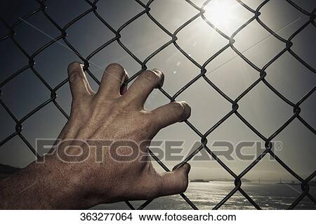 Prisoner clinging to a chainlink fence View Large Photo Image Picture - Prisoner clinging to a chainlink fence. Fotosearch