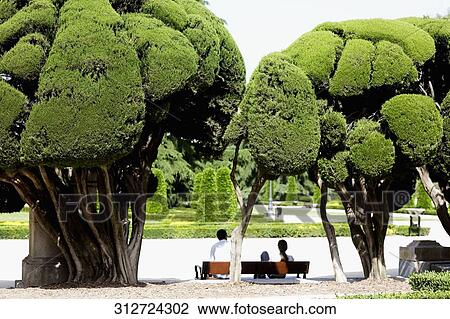 Stock Image - Rear view of a couple sitting in a park, Madrid, Spain. Fotosearch