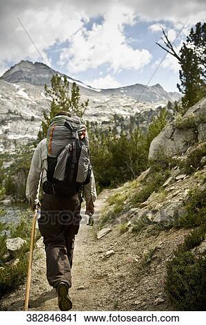 Rear view of a hiker walking in a forest View Large Photo Image Stock Image - Rear view of a hiker walking in a forest. Fotosearch
