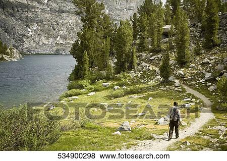 Stock Photo - Rear view of a hiker walking in a forest. Fotosearch