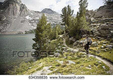 Rear view of a hiker walking in a forest View Large Photo Image Stock Photography - Rear view of a hiker walking in a forest. Fotosearch
