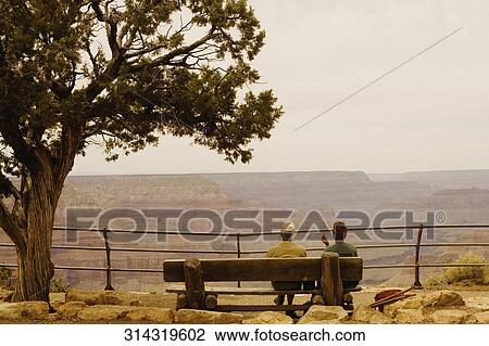 Rear view of two people sitting on a wooden bench, Las Vegas, Nevada, USA View Large Photo Image Stock Image - Rear view of two people sitting on a wooden bench, Las Vegas, Nevada, USA. Fotosearch