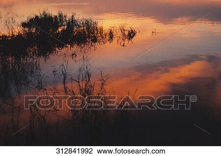 Reflection of clouds in a lake at sunset View Large Photo Image Stock Image - Reflection of clouds in a lake at sunset. Fotosearch