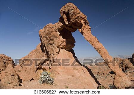 Rock formation on a landscape, Valley of Fire State Park, Las Vegas, Nevada, USA View Large Photo Image Stock Photo - Rock formation on a landscape, Valley of Fire State Park, Las Vegas, Nevada, USA. Fotosearch