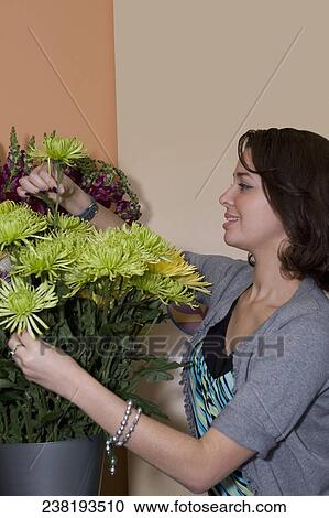 Sales clerk arranging flowers in a store, Miami, Florida, USA View Large Photo Image Stock Image - Sales clerk arranging flowers in a store, Miami, Florida, USA. Fotosearch