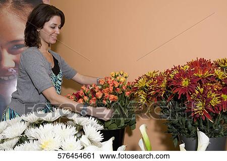 Sales clerk arranging flowers in a store, Miami, Florida, USA View Large Photo Image Stock Image - Sales clerk arranging flowers in a store, Miami, Florida, USA. Fotosearch