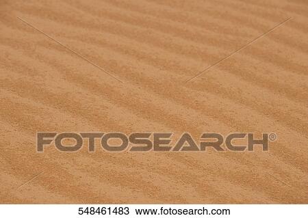 Sand dunes in a desert, Coral Pink Sand Dunes State Park, Utah, USA View Large Photo Image Stock Image - Sand dunes in a desert, Coral Pink Sand Dunes State Park, Utah, USA. Fotosearch