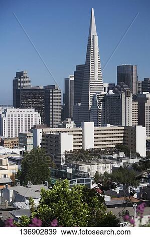 Stock Photo - Skyscrapers in a city, Transamerica Pyramid, San Francisco, California, USA. Fotosearch