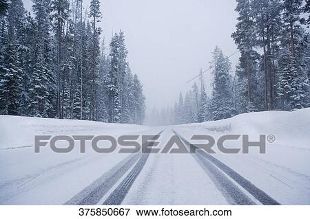 Snow covered road passing through a forest, Old Trail Town, Cody, Wyoming, USA View Large Photo Image Stock Photo - Snow covered road passing through a forest, Old Trail Town, Cody, Wyoming, USA. Fotosearch