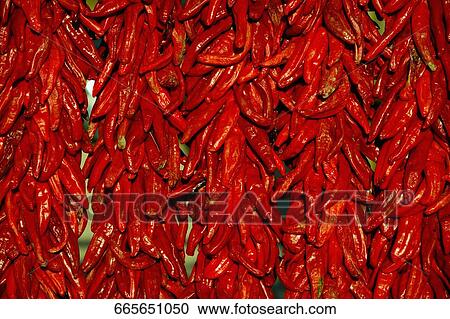 Strands of red chili peppers at a farmer's market View Large Photo Image Stock Image - Strands of red chili peppers at a farmer's market. Fotosearch