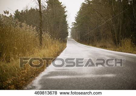 Trees along a road View Large Photo Image Stock Photo - Trees along a road. Fotosearch
