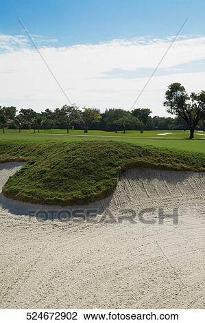 Trees in a golf course, Biltmore Golf Course, Coral Gables, Florida, USA View Large Photo Image Stock Image - Trees in a golf course, Biltmore Golf Course, Coral Gables, Florida, USA. Fotosearch