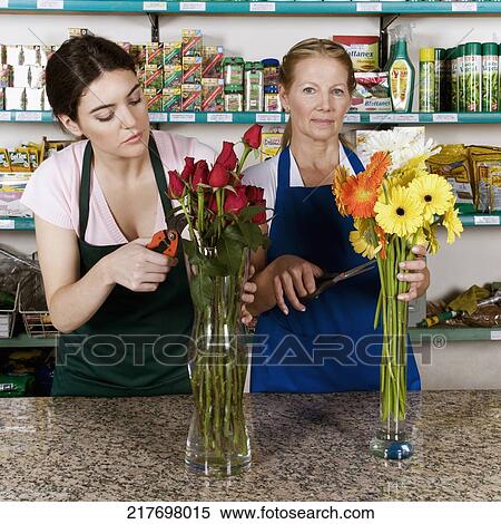 Stock Photography - Two female florists arranging flowers in vases. Fotosearch