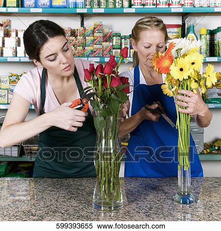 Two female florists arranging flowers in vases View Large Photo Image Stock Photography - Two female florists arranging flowers in vases. Fotosearch