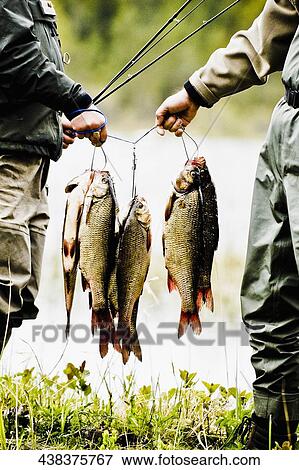 Two people carrying dead fish View Large Photo Image Stock Photo - Two people carrying dead fish. Fotosearch