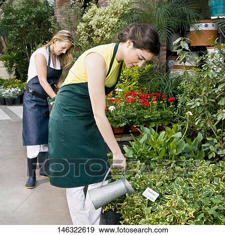 Stock Photo - Two women watering plants. Fotosearch