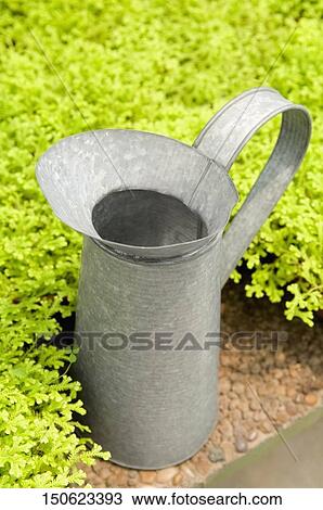 Watering can in a greenhouse View Large Photo Image Stock Image - Watering can in a greenhouse. Fotosearch