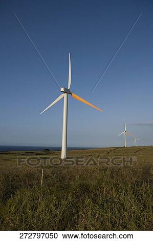 Wind turbines in a field, Pakini Nui Wind Project, South Point, Big Island, Hawaii, USA View Large Photo Image Stock Image - Wind turbines in a field, Pakini Nui Wind Project, South Point, Big Island, Hawaii, USA. Fotosearch