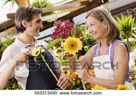 Woman and a man working in a greenhouse View Large Photo Image Stock Image - Woman and a man working in a greenhouse. Fotosearch