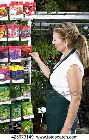 Woman arranging seed packets View Large Photo Image Stock Photo - Woman arranging seed packets. Fotosearch