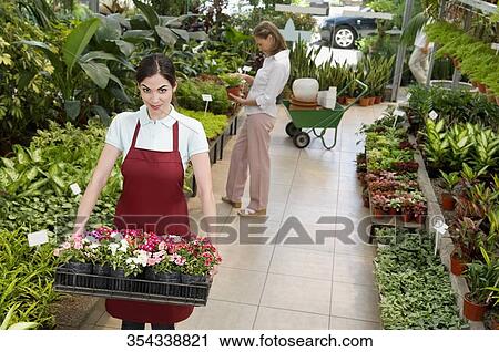 Woman carrying a tray of plants View Large Photo Image Stock Image - Woman carrying a tray of plants. Fotosearch