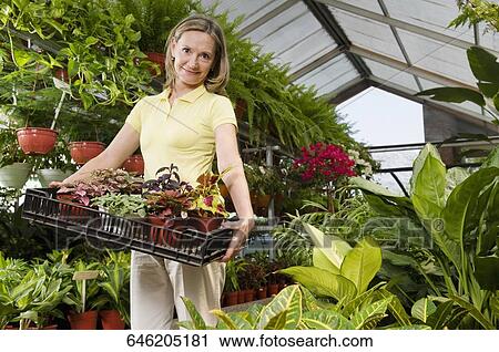 Woman carrying a tray of plants View Large Photo Image Stock Image - Woman carrying a tray of plants. Fotosearch