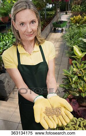 Stock Photography - Woman holding a handful of compost in a greenhouse. Fotosearch