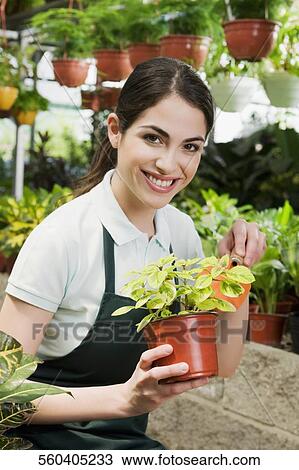 Stock Image - Woman holding a potted plant in a greenhouse. Fotosearch