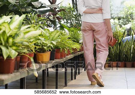 Stock Image - Woman holding a potted plant in a greenhouse. Fotosearch