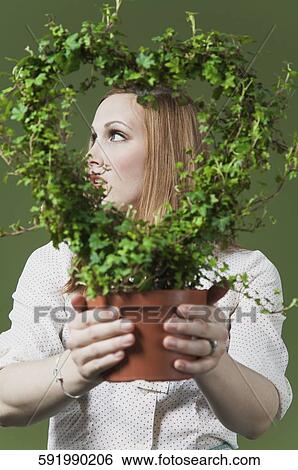 Woman holding a potted wreath View Large Photo Image Stock Photograph - Woman holding a potted wreath. Fotosearch