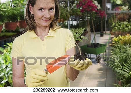 Stock Image - Woman holding a sapling in a greenhouse. Fotosearch