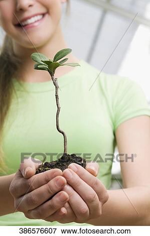 Stock Photo - Woman holding a sapling in a greenhouse. Fotosearch