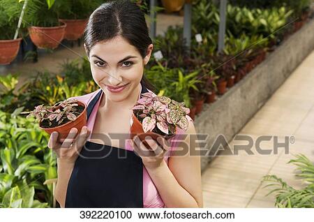 Stock Image - Woman holding potted plants in a greenhouse. Fotosearch