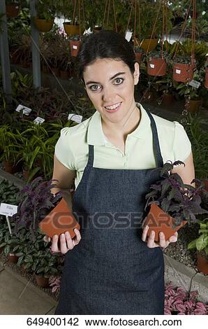 Woman holding potted plants in a greenhouse View Large Photo Image Stock Image - Woman holding potted plants in a greenhouse. Fotosearch