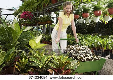 Woman pushing a cart in greenhouse View Large Photo Image Picture - Woman pushing a cart in greenhouse. Fotosearch