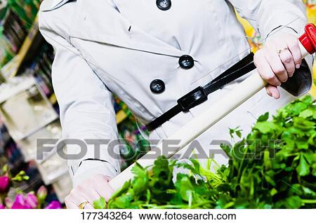 Woman pushing a shopping cart of vegetables View Large Photo Image Picture - Woman pushing a shopping cart of vegetables. Fotosearch